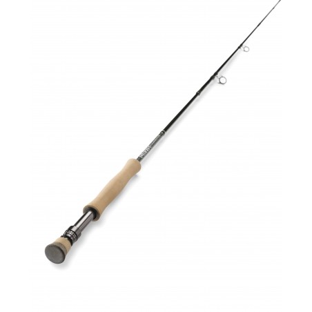 Canne ORVIS Clearwater 10' soie 3