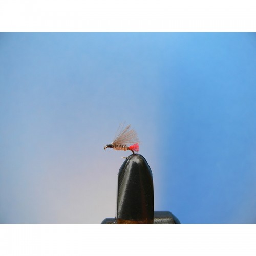 Mouches Cévenoles Micro Tags N°54