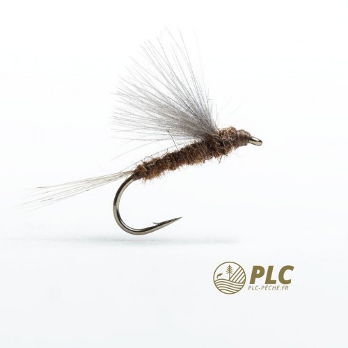 Mouche HOH Emergente 001