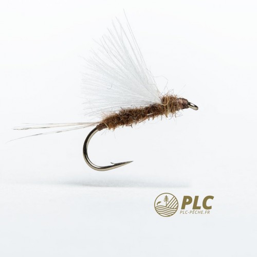 Mouche HOH Emergente 002