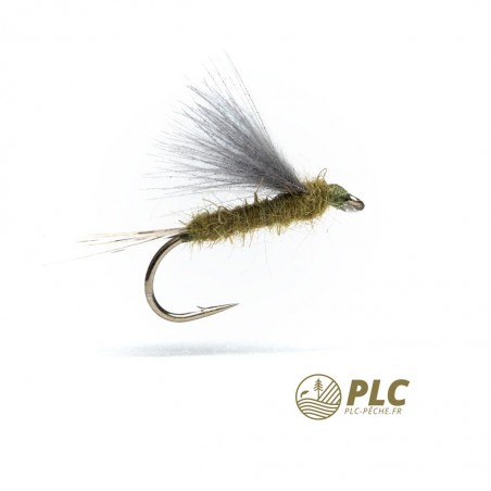 Mouche HOH Emergente 003
