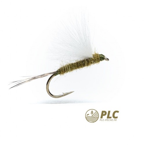 Mouche HOH Emergente 004