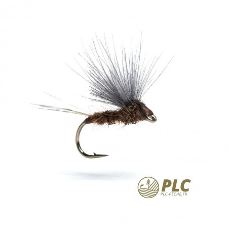 Mouche HOH Subimago 005