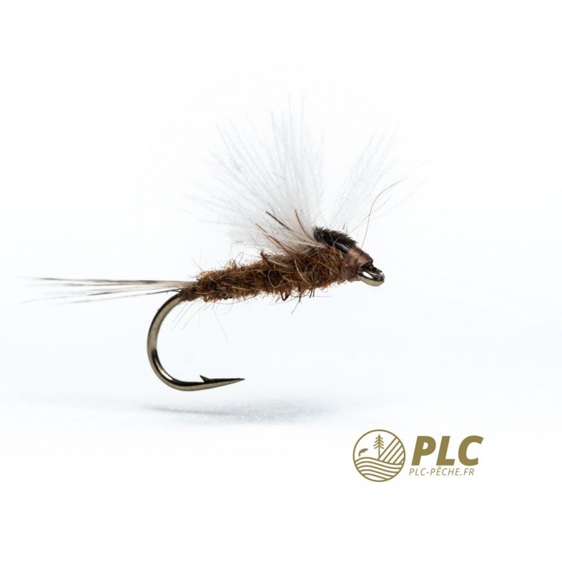 Mouche HOH Subimago 006
