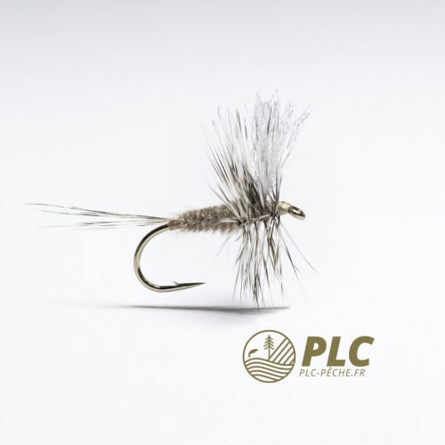 Mouche HOH Imago 021