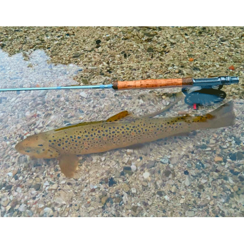 Stage de pêche à la mouche (3 pers.)