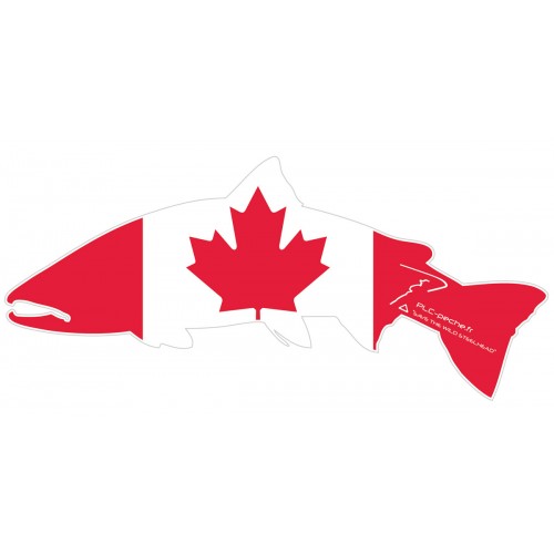 Sticker Steelhead PLC