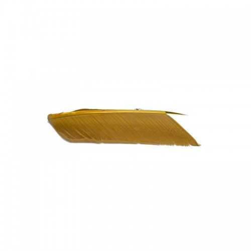 Substitut de condor FLYSCENE