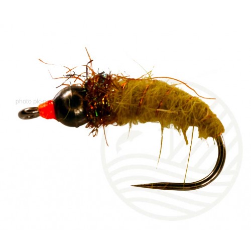 Mouche Caddis Nymph Olive/Blk Tungstene BL CATCHY FLIES
