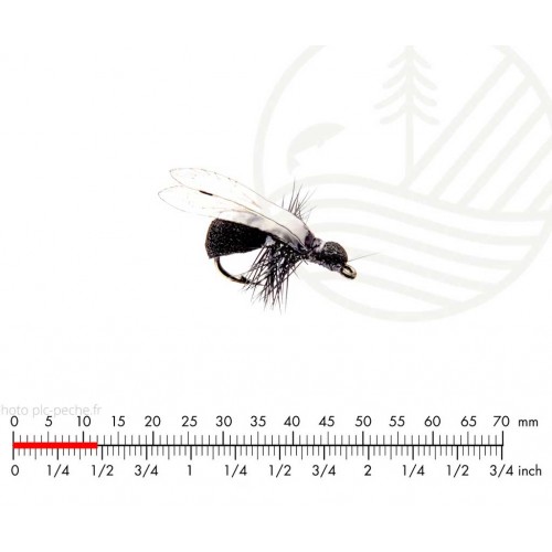Mouche J:SON Winged Ant Black H16