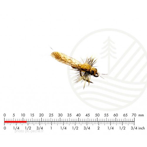 Mouche J:SON Stonefly Adult 5 Yellow H20