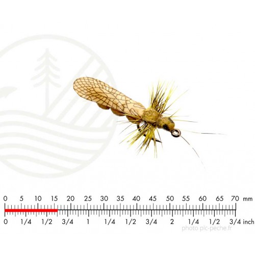 Mouche J:SON Stonefly Adult 4 Yellow H18