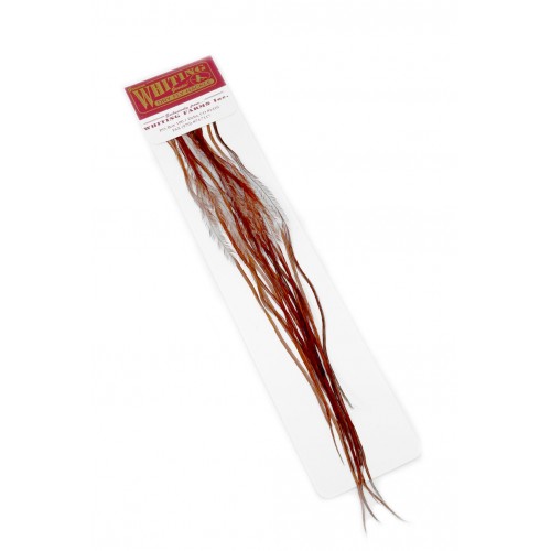 Plumes WHITING FARMS 100'S pour hameçons de 16