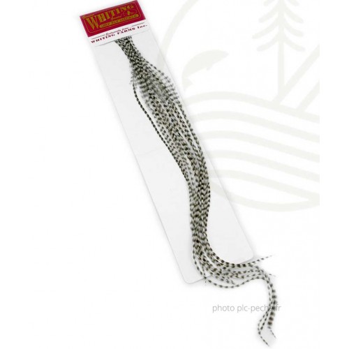 Plumes WHITING FARMS 100'S pour hameçons de 14
