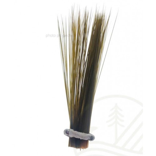 SEMPERFLI Tail Fibre Fibbets