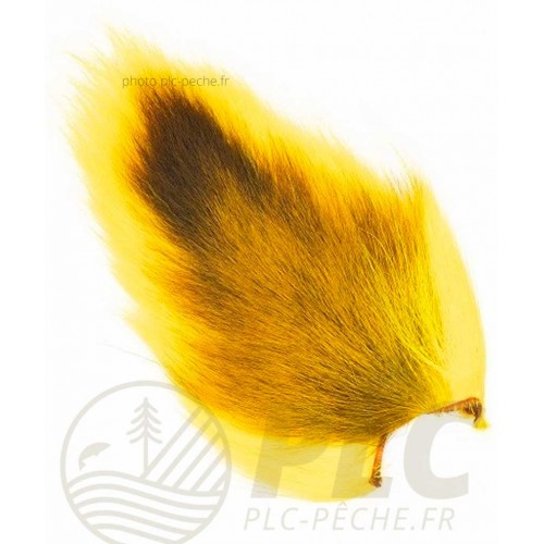 Doetail VENIARD