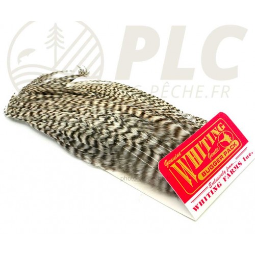 Plumes Whiting Bugger Pack Grizzly