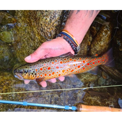 Stage pêche à la mouche (2 pers.) 1 Journée