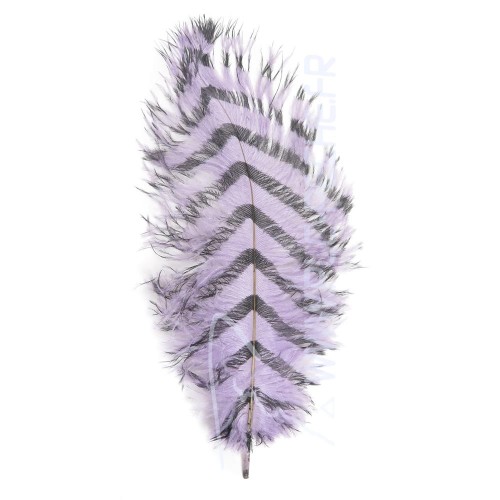 Lavender barred