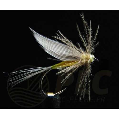 Mouche Ornans 21 BL