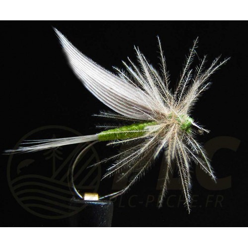 Mouche Ornans 22 BL