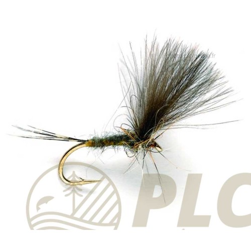 Mouche FULLING MILL CdC Olive Dun S14