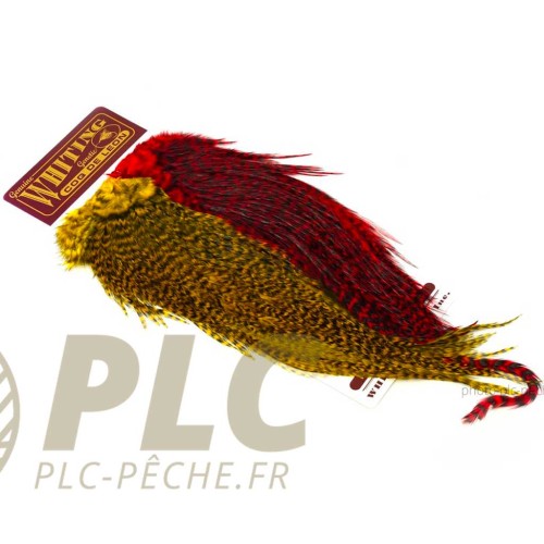 Plumes WHITING FARMS CDL Predator Pack Grizzly Pardo Red & Yellow