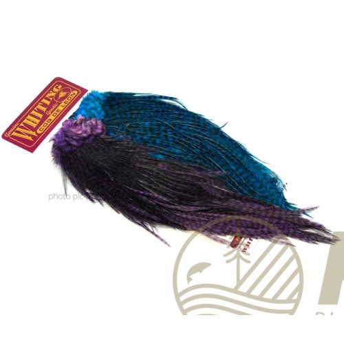 Plumes WHITING FARMS CDL Predator Pack Grizzly Pardo Purple & Blue
