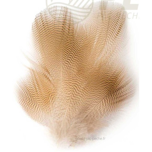 Plumes FLY SCENE Woodduck Flank 12 Plumes