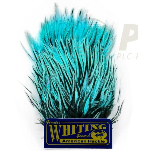 Plumes WHITING FARMS American Streamer Pack
