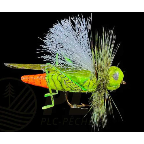 Mouche Sauterelle JMC 26 H10
