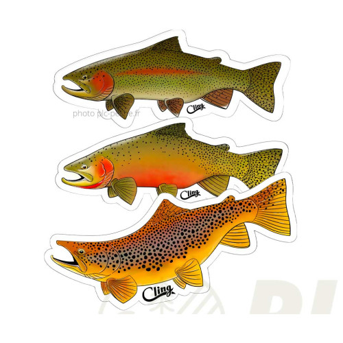 Sticker CLING Trout