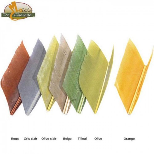 Quill d'aile de dinde MDC