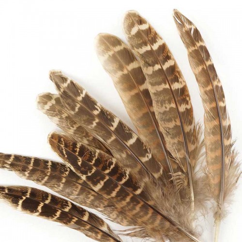 Plume d'aile de faisane VENIARD