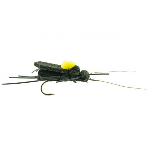MOUCHE DEVAUX TERRESTRE CRICKET 01