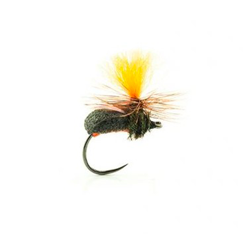 Mouche Devaux terrestre jbt05