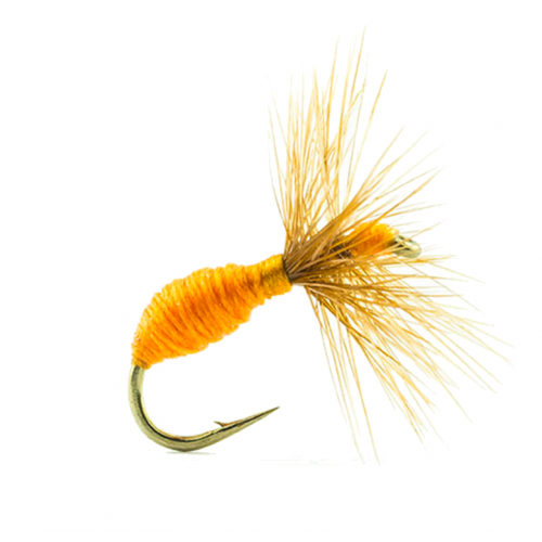 MOUCHE DEVAUX TERRESTRE 517