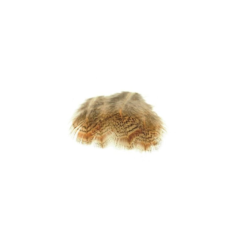 Plumes de perdrix Anglaise 3 grs