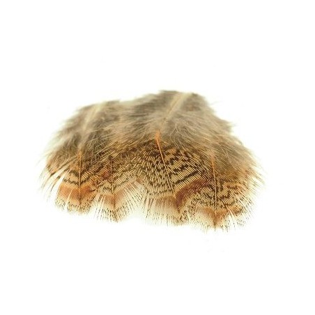 Plumes de perdrix Anglaise 3 grs