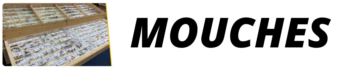 Mouches