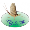 FLY SCENE