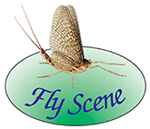FLY SCENE