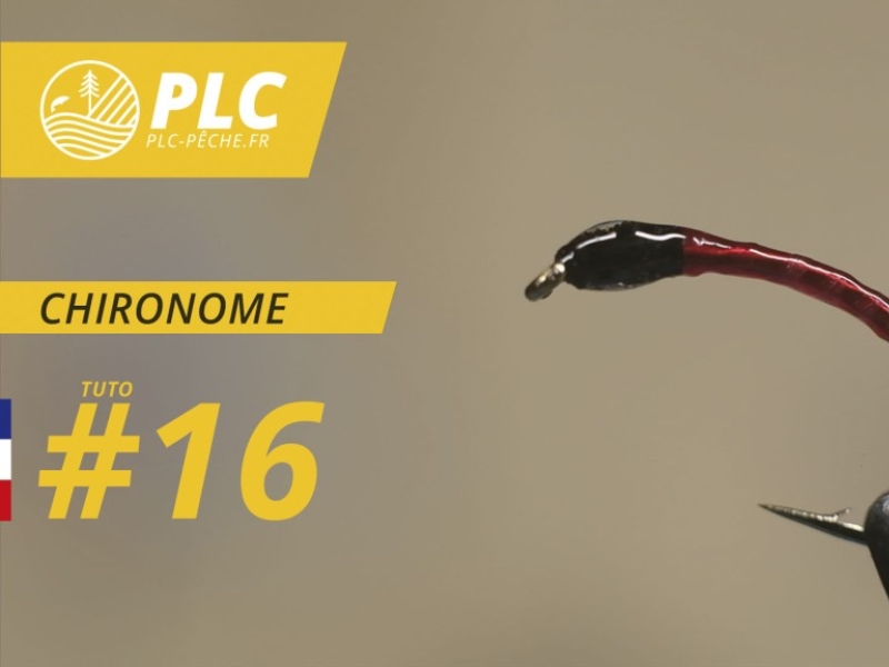 Montage mouche 16 : la Chironome
