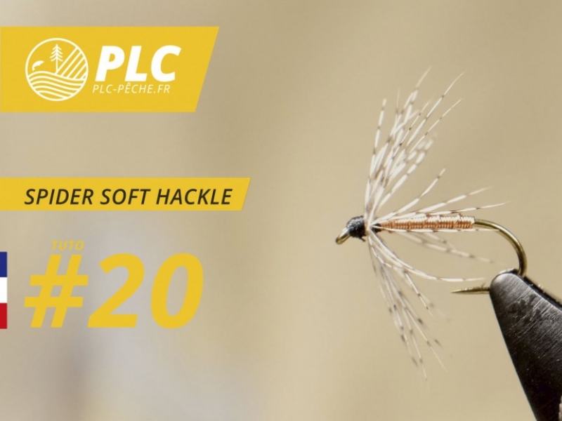 Montage mouche 20 : Spider Soft Hackle
