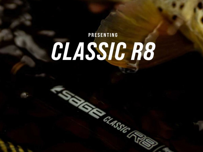 Nouvelles cannes SAGE R8 CLASSIC 