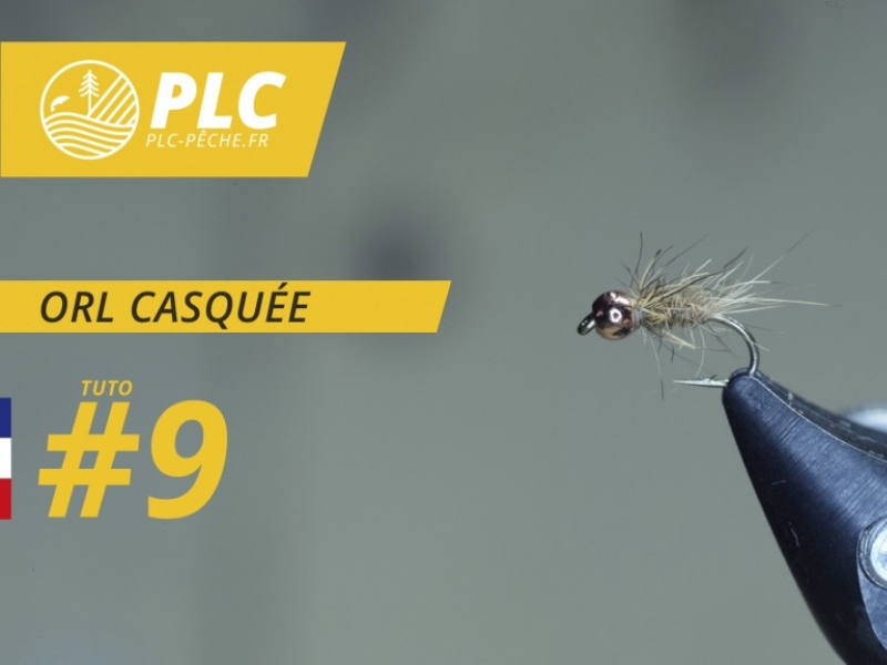 Montage mouche 9 : ORL CASQUÉE